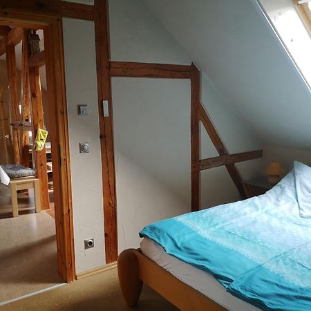Ferienwohnung Im Vogelhaus Mit Dachterasse Und Grossem Garten Calau Exterior photo
