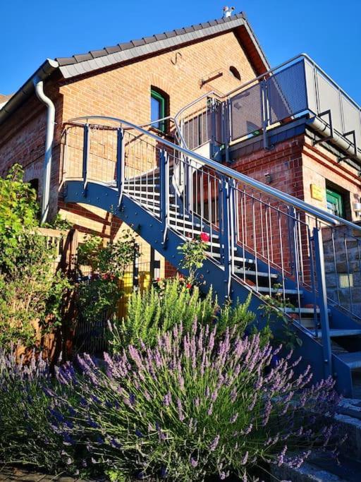 Ferienwohnung Im Vogelhaus Mit Dachterasse Und Grossem Garten Calau Exterior photo