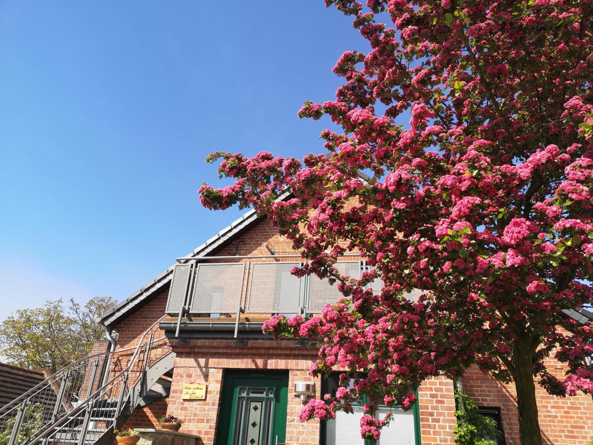 Ferienwohnung Im Vogelhaus Mit Dachterasse Und Grossem Garten Calau Exterior photo